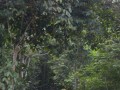 Tn DSC 4141